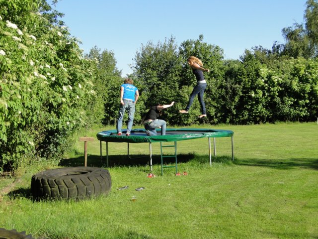 2011HWK 010.jpg